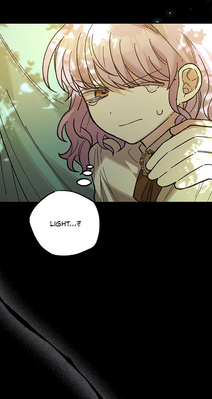 Let Me Kidnap the Male Lead! Chapter 21 page 52