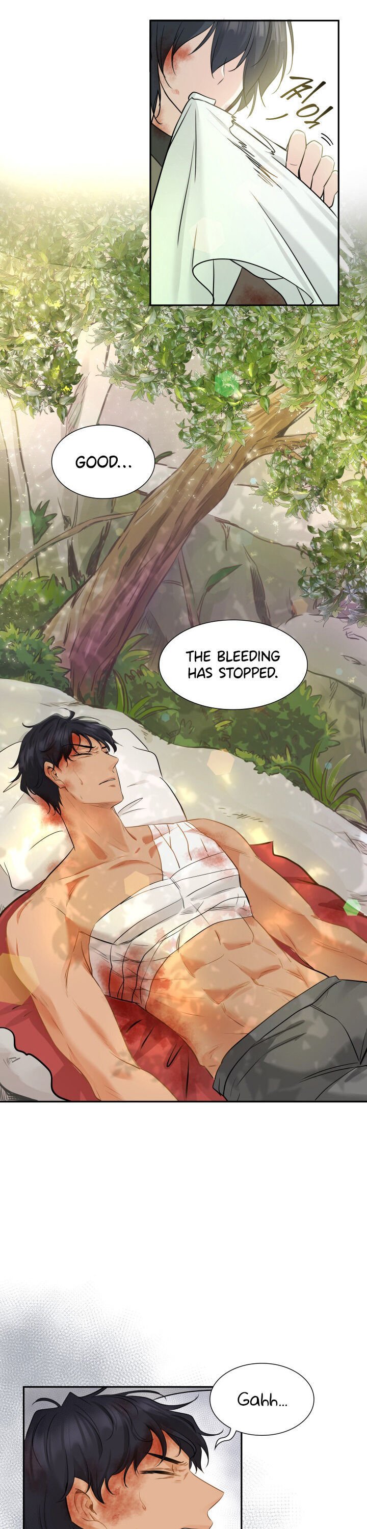 Marriage and Sword Chapter 2 page 13