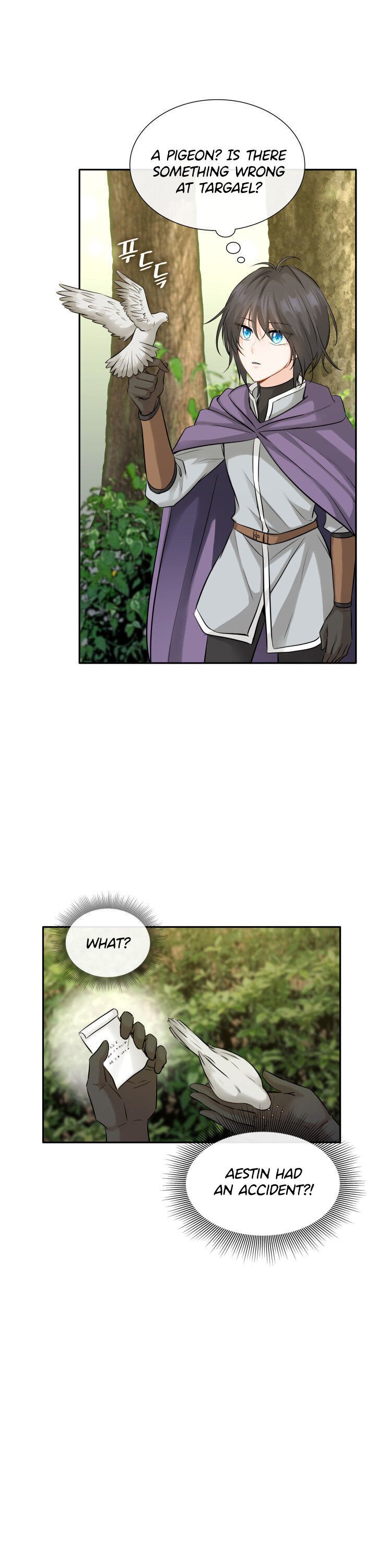 Marriage and Sword Chapter 4 page 9