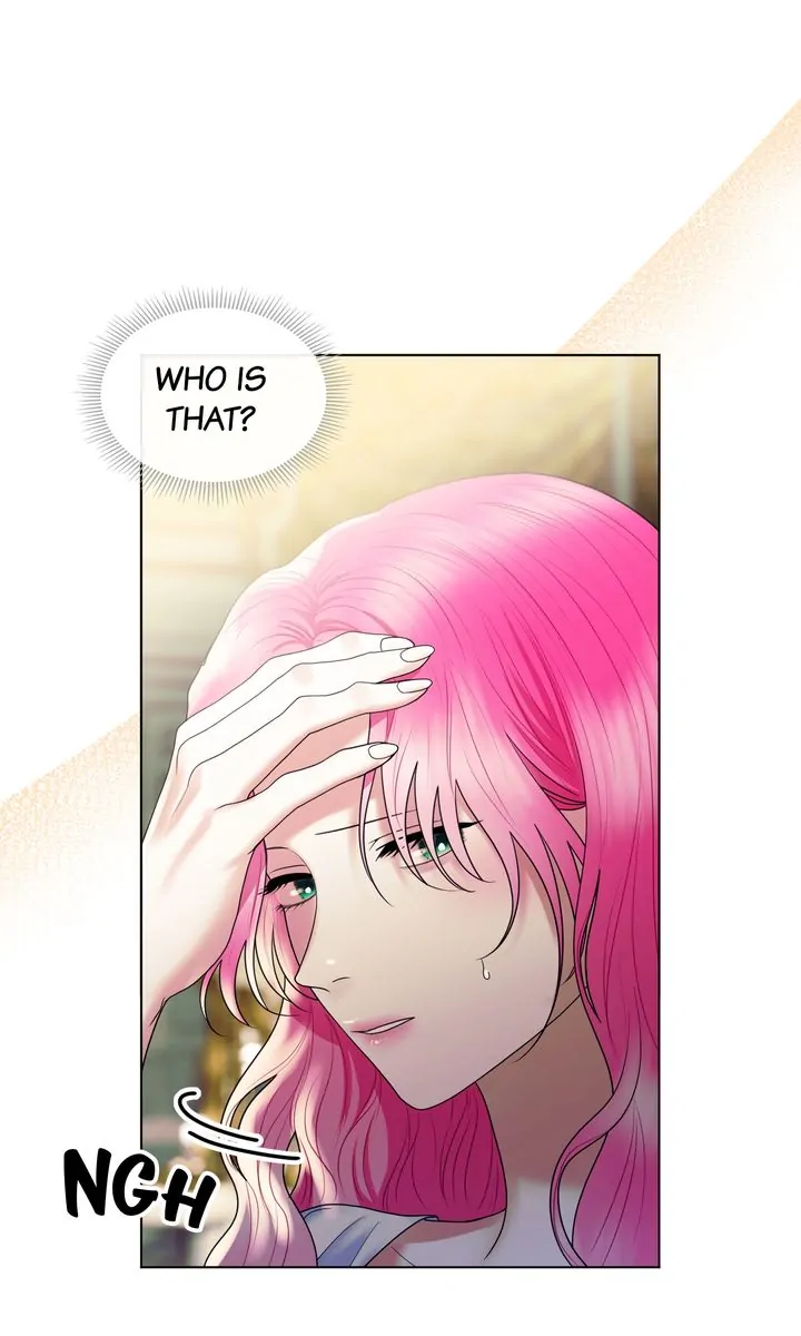 Marriage Contract With Two Husbands Chapter 25 page 105