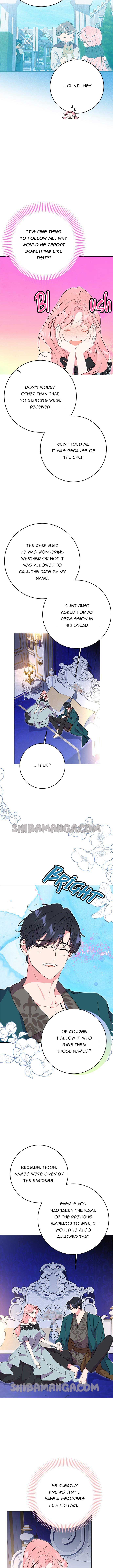 My Husband Changes Every Night Chapter 52 page 4