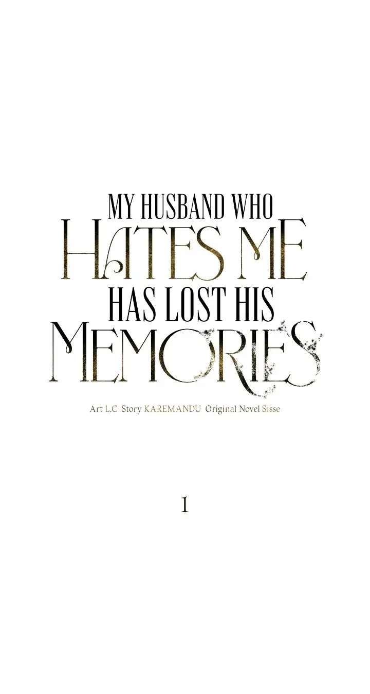 My Husband Who Hates Me Has Lost His Memories Chapter 1 page 5
