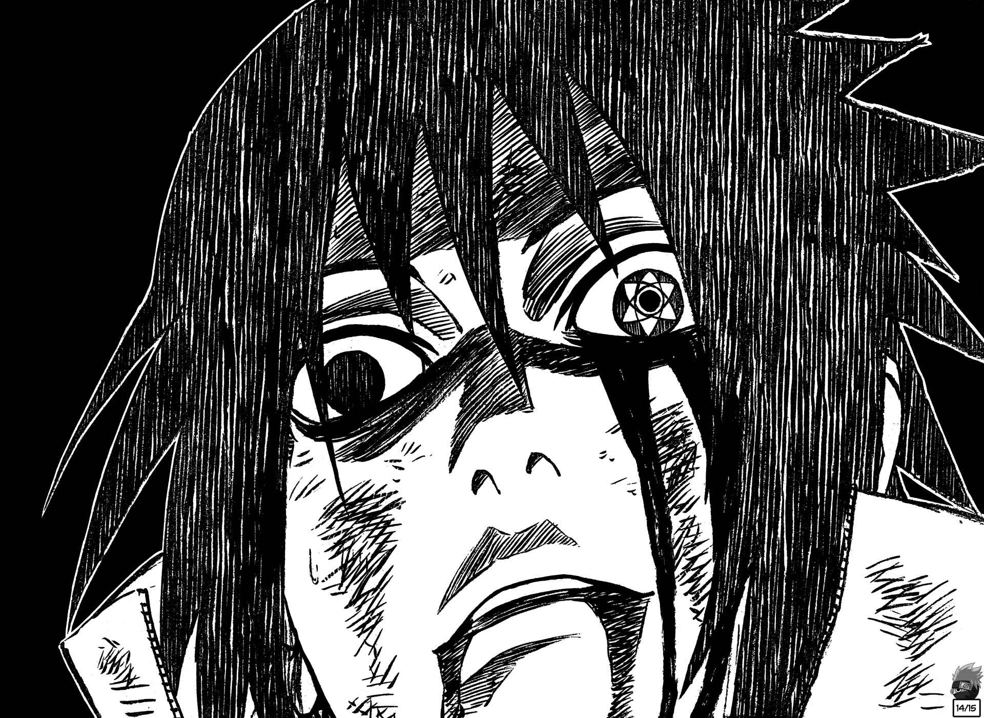 Naruto Chapter 480 page 14