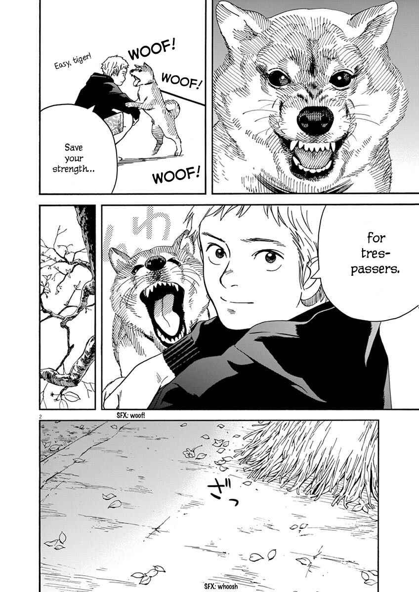 Neko no Otera no Chion-san Chapter 13 page 1