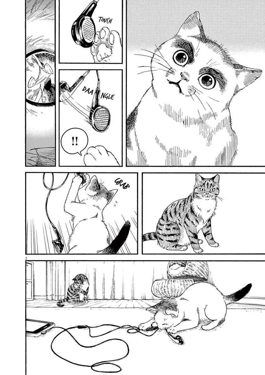 Neko no Otera no Chion-san Chapter 23 page 2