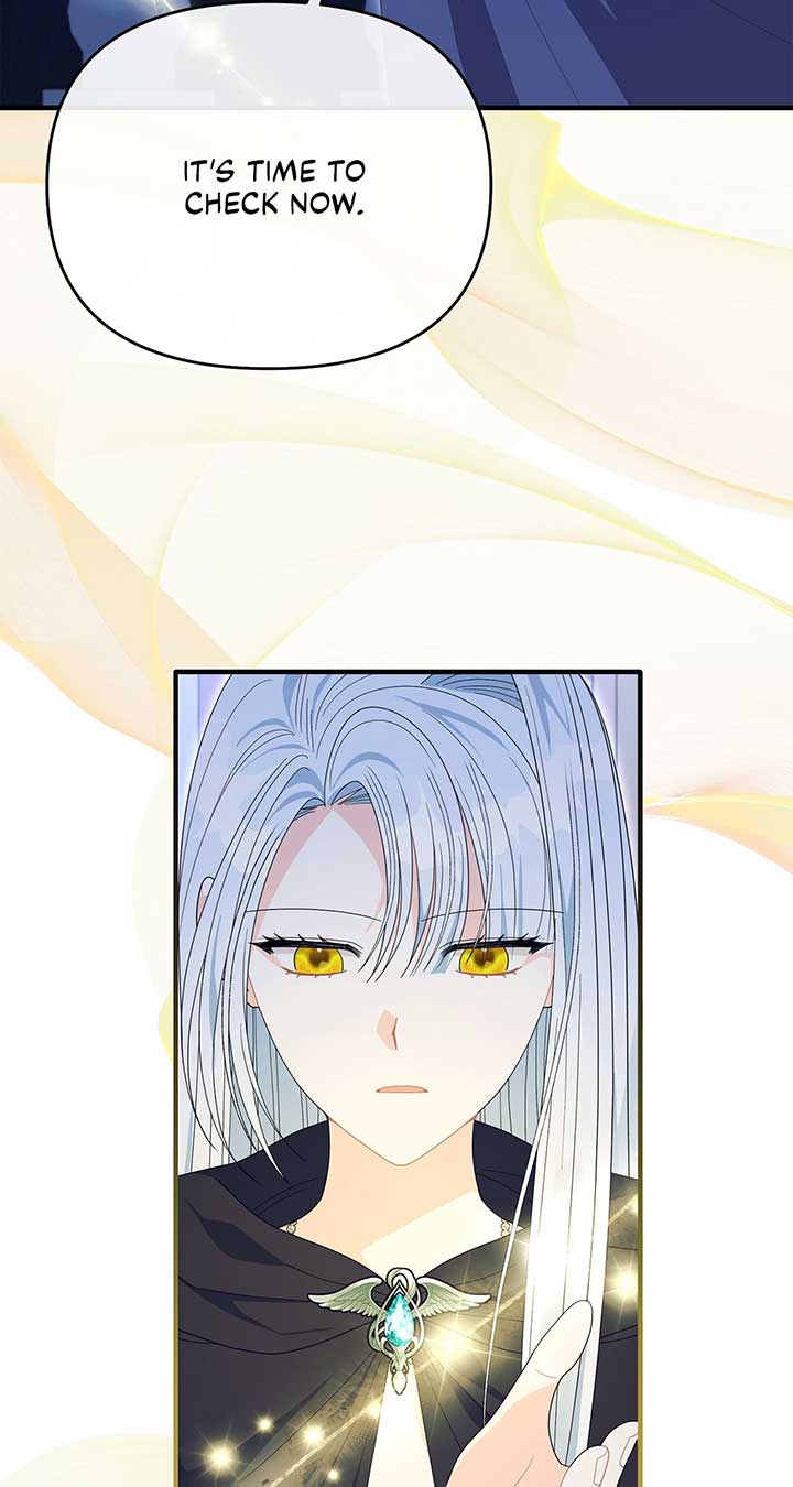 No, I Only Charmed the Princess! Chapter 36 page 66