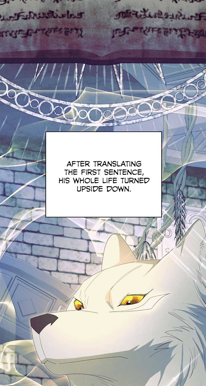 No, I Only Charmed the Princess! Chapter 36 page 78