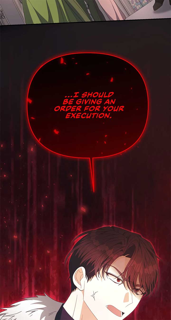 No, I Only Charmed the Princess! Chapter 51 page 68