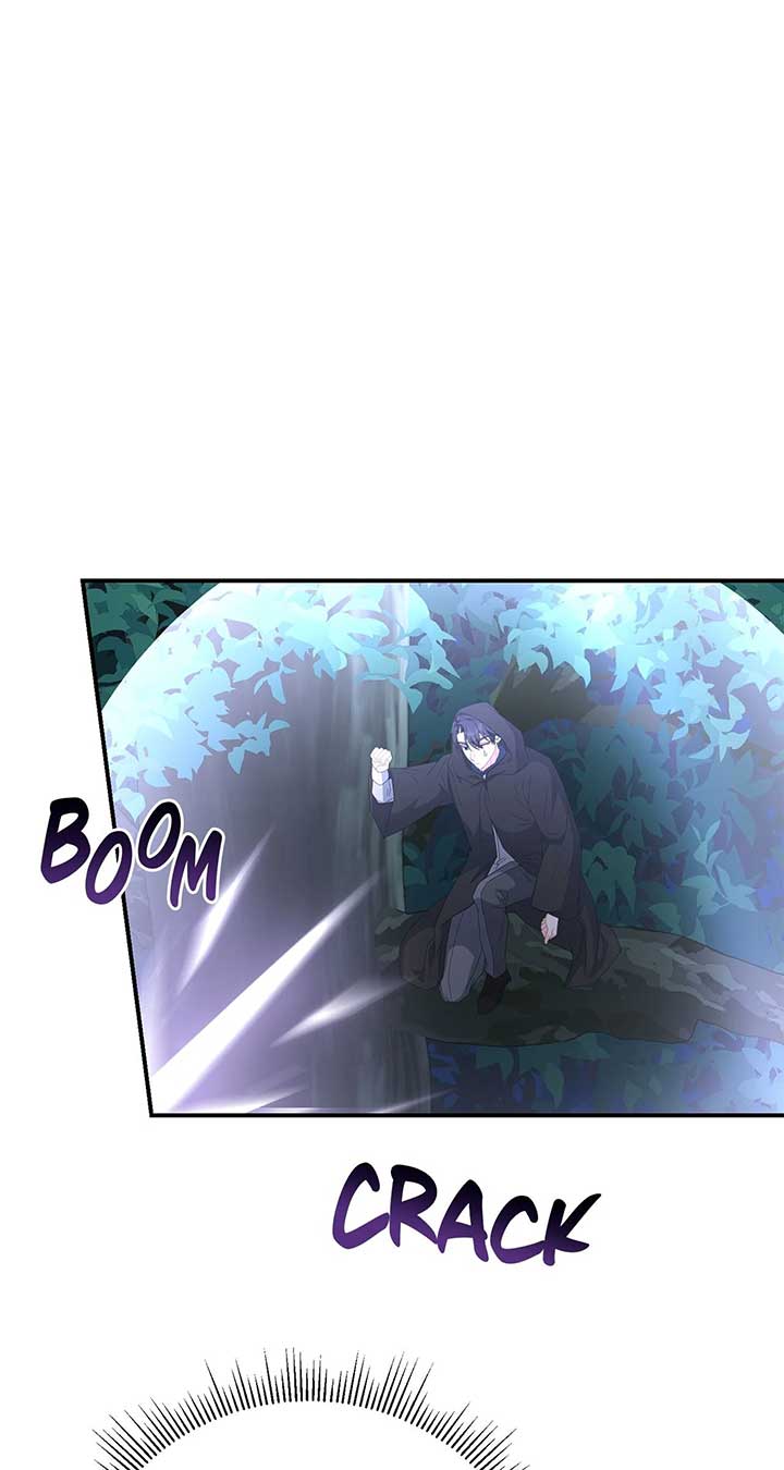 No, I Only Charmed the Princess! Chapter 54 page 0