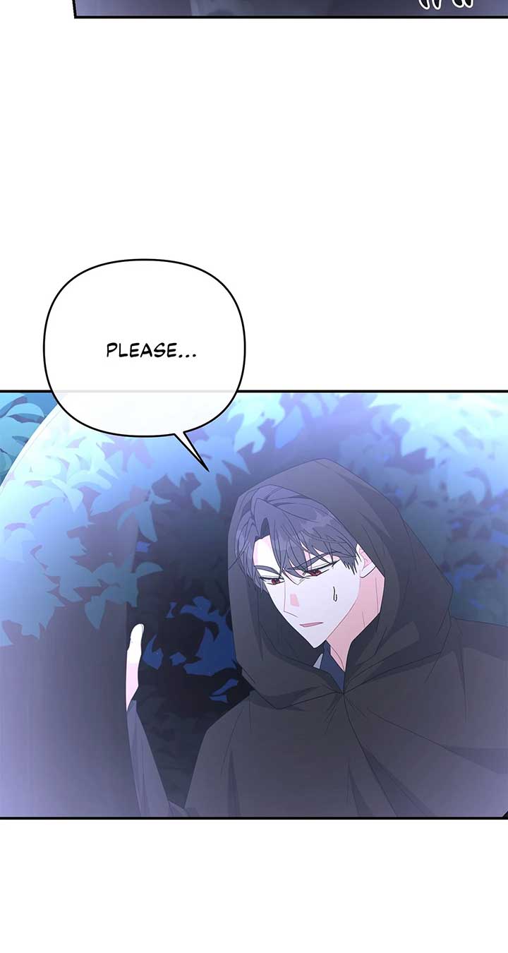 No, I Only Charmed the Princess! Chapter 54 page 11