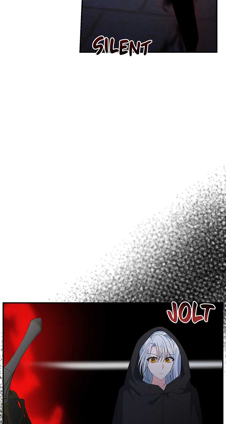 No, I Only Charmed the Princess! Chapter 54 page 41