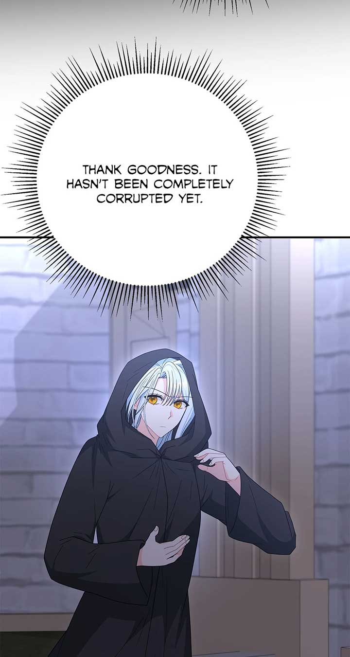 No, I Only Charmed the Princess! Chapter 54 page 65