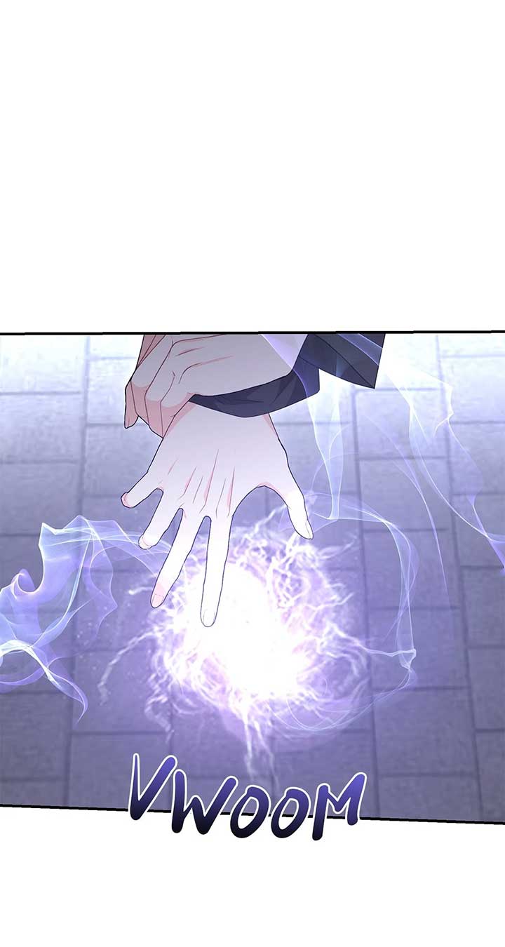 No, I Only Charmed the Princess! Chapter 54 page 69