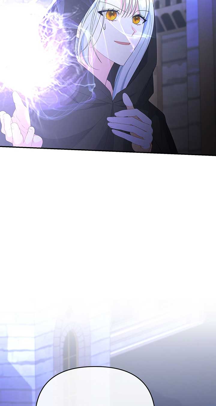 No, I Only Charmed the Princess! Chapter 54 page 74