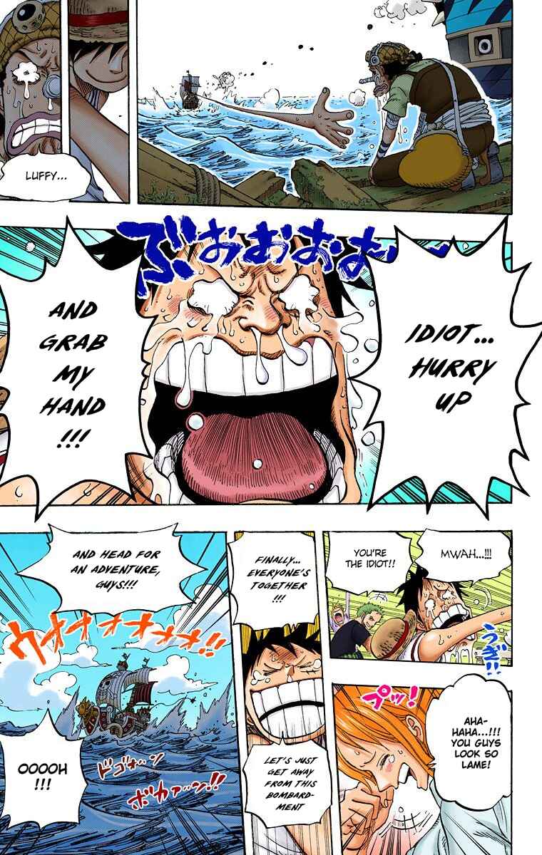 One Piece (Official Colored) Chapter 438 page 19