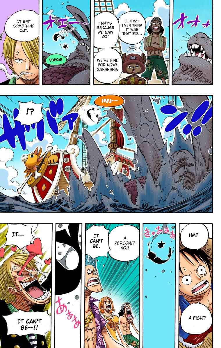 One Piece (Official Colored) Chapter 490 page 16