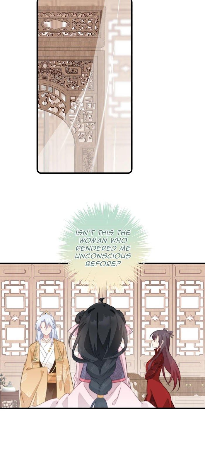 Pet the Little Princess Chapter 40 page 13