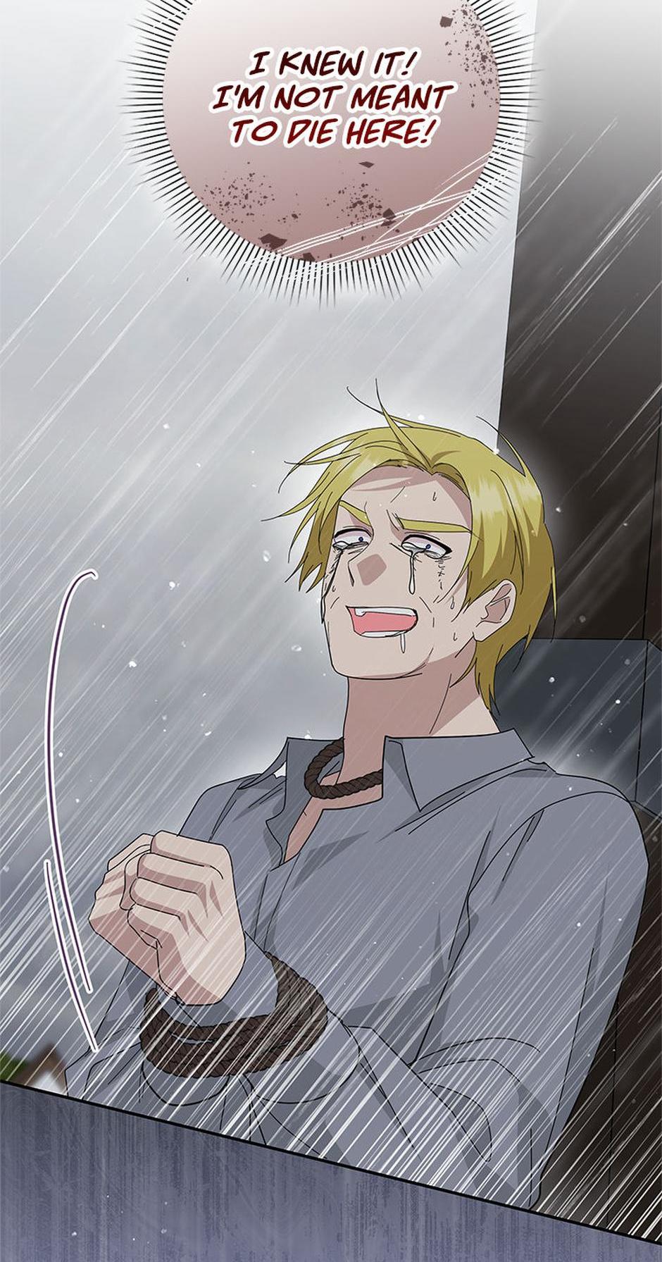 Please Support Revenge Chapter 102 page 18