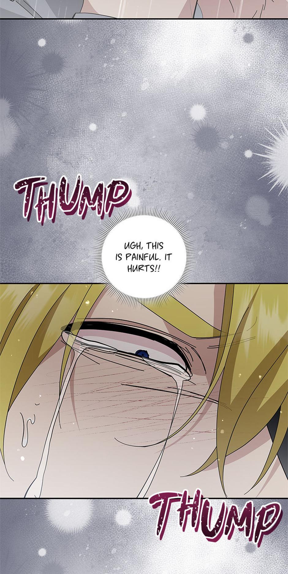 Please Support Revenge Chapter 102 page 6