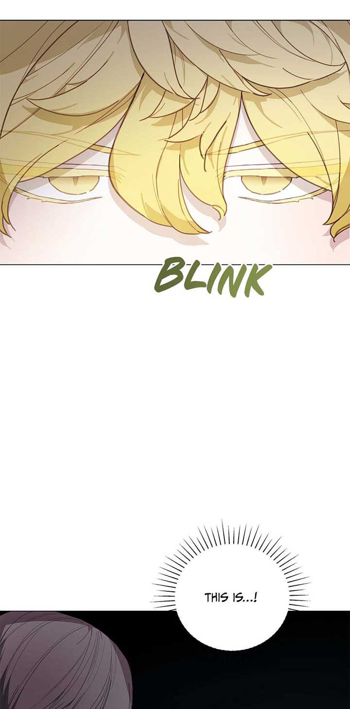 Princess’s Doll Shop Chapter 79 page 67
