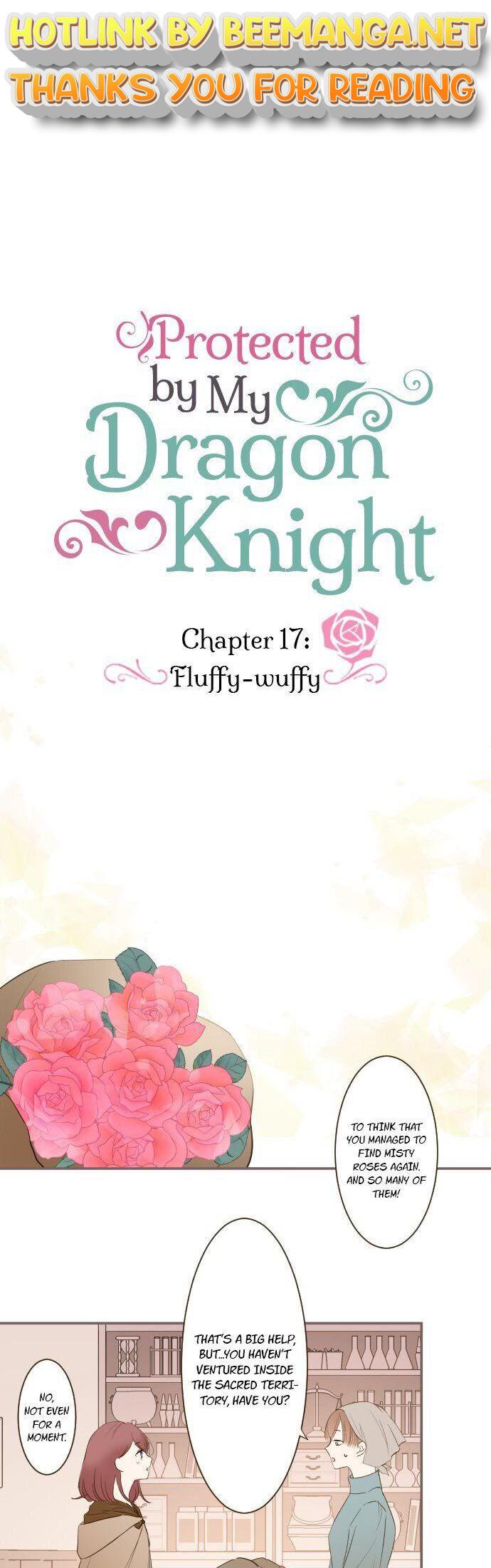Protected by My Dragon Knight Chapter 17 page 0