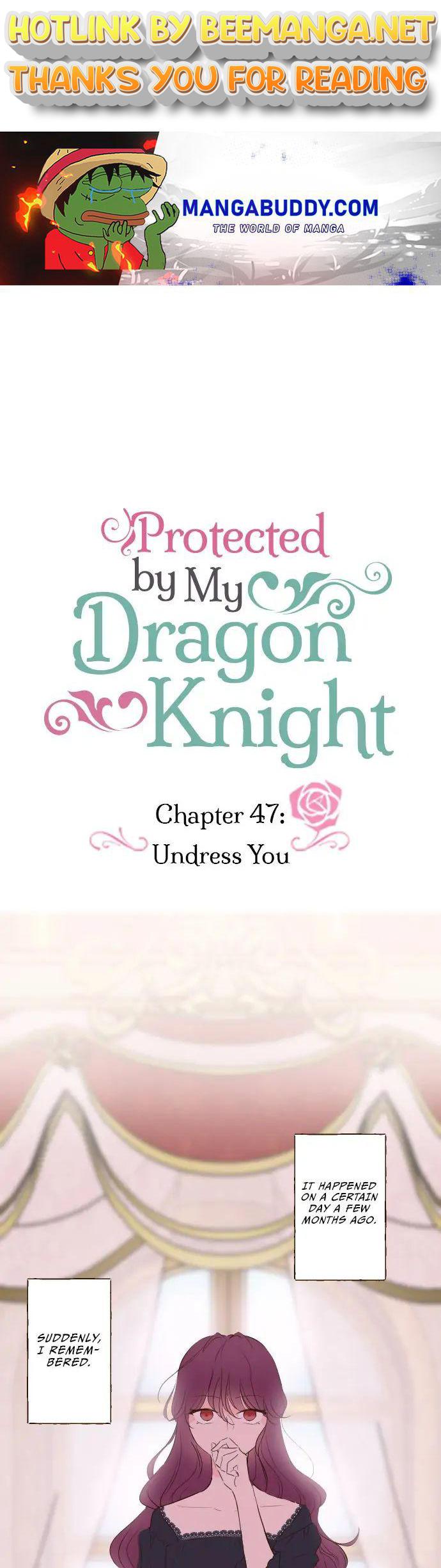 Protected by My Dragon Knight Chapter 47 page 0