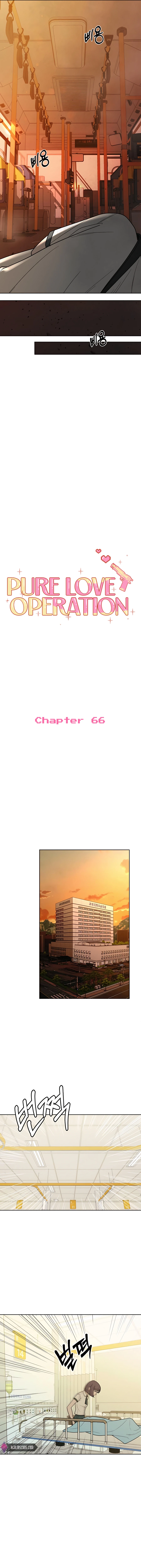 Pure Love Operation Chapter 66 page 7