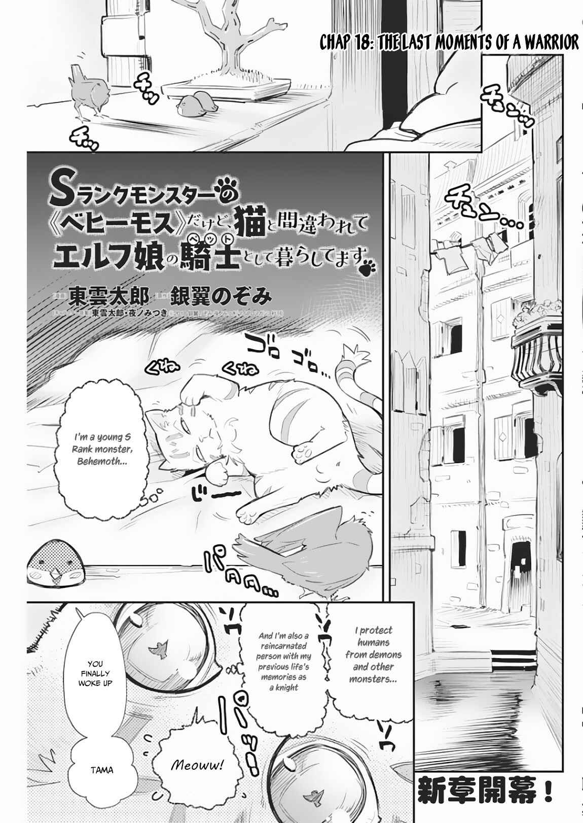 S-Rank Monster no Behemoth Dakedo, Neko to Machigawarete Erufu Musume no Kishi (Pet) Toshite Kurashitemasu Chapter 18 page 1