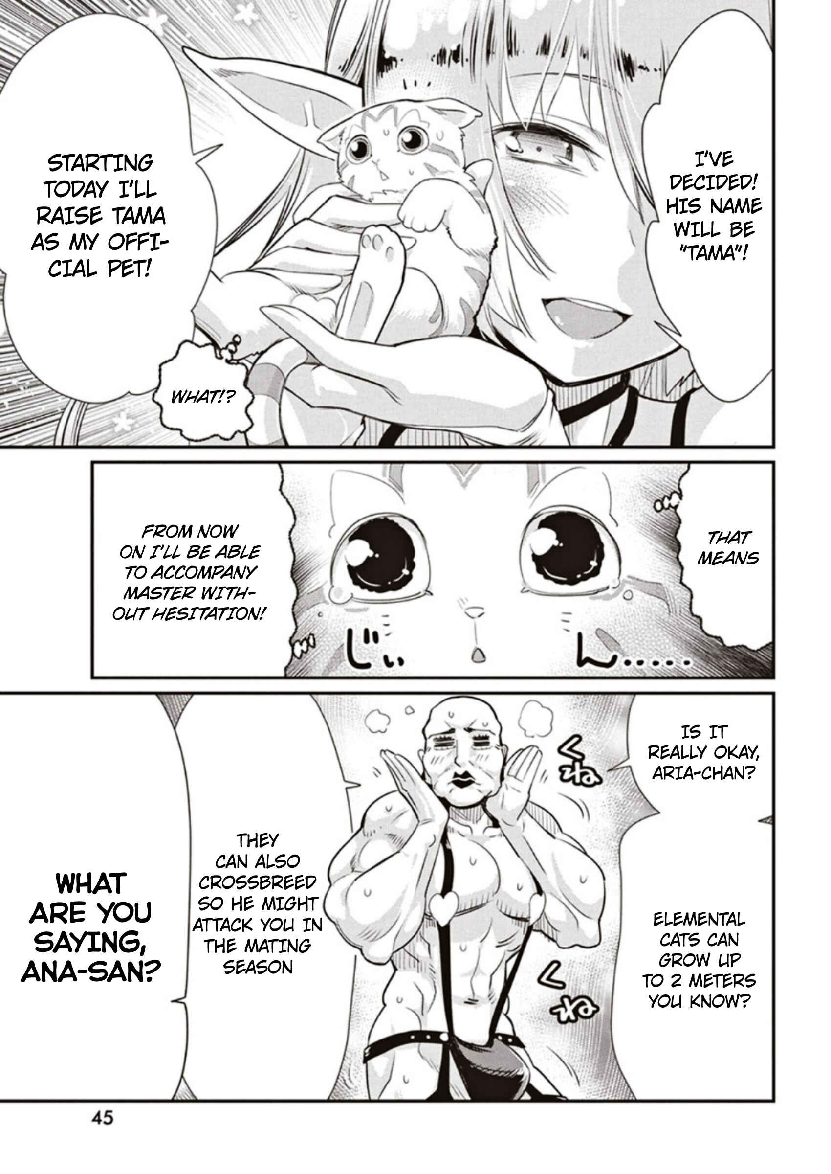 S-Rank Monster no Behemoth Dakedo, Neko to Machigawarete Erufu Musume no Kishi (Pet) Toshite Kurashitemasu Chapter 3 page 10