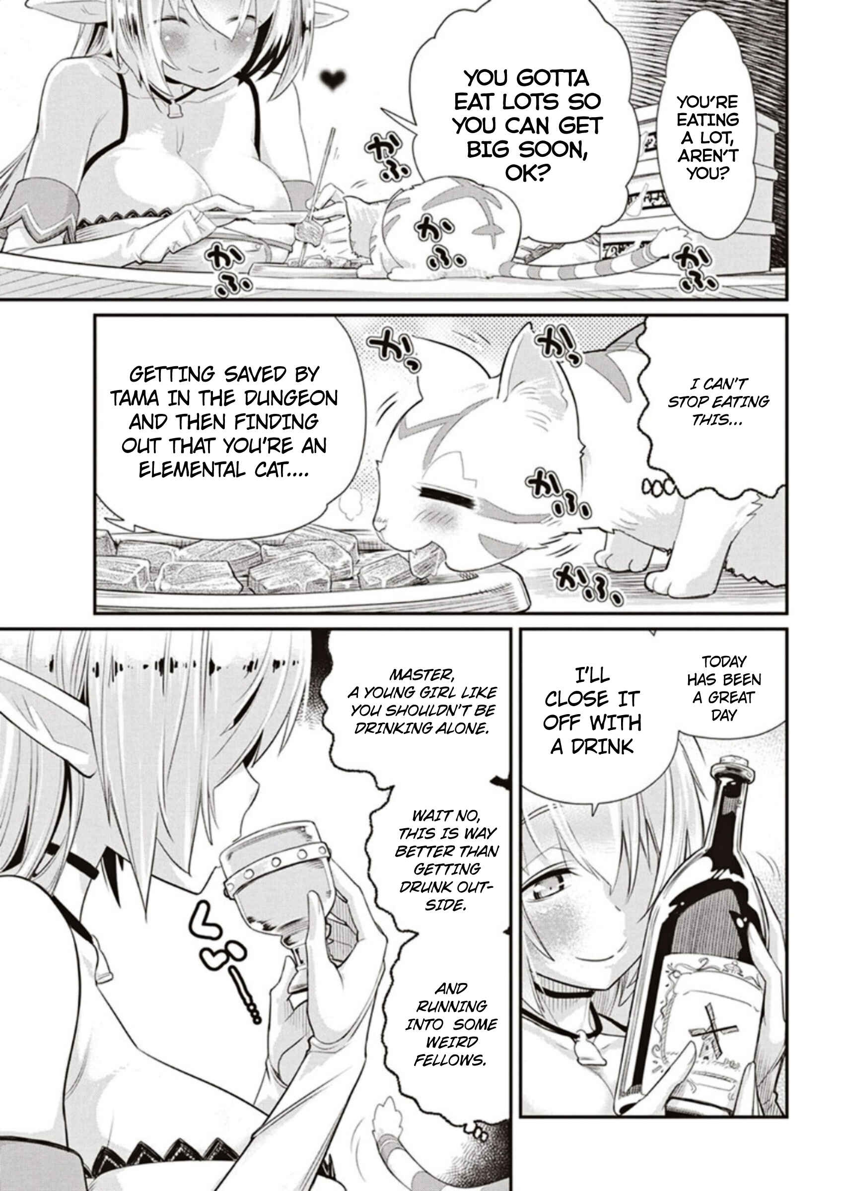S-Rank Monster no Behemoth Dakedo, Neko to Machigawarete Erufu Musume no Kishi (Pet) Toshite Kurashitemasu Chapter 3 page 20