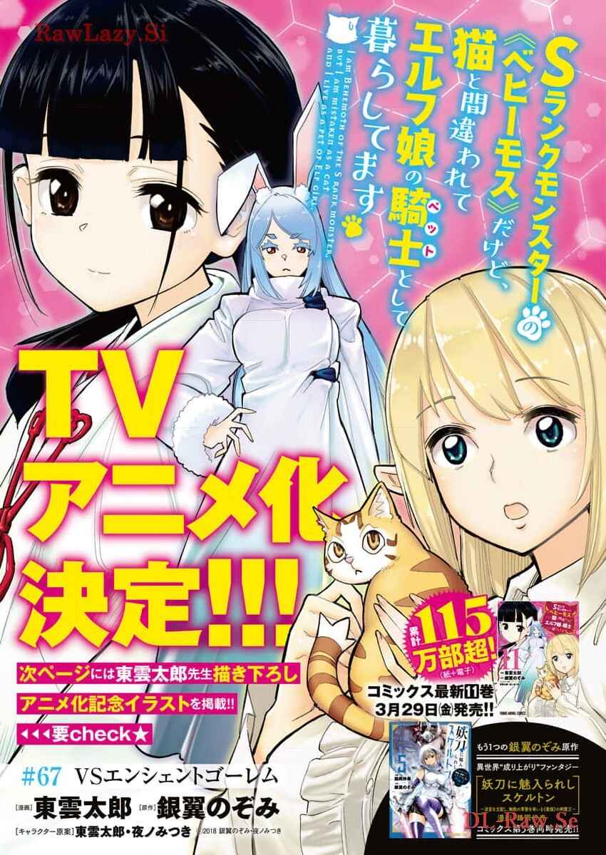 S-Rank Monster no Behemoth Dakedo, Neko to Machigawarete Erufu Musume no Kishi (Pet) Toshite Kurashitemasu Chapter 67 page 1