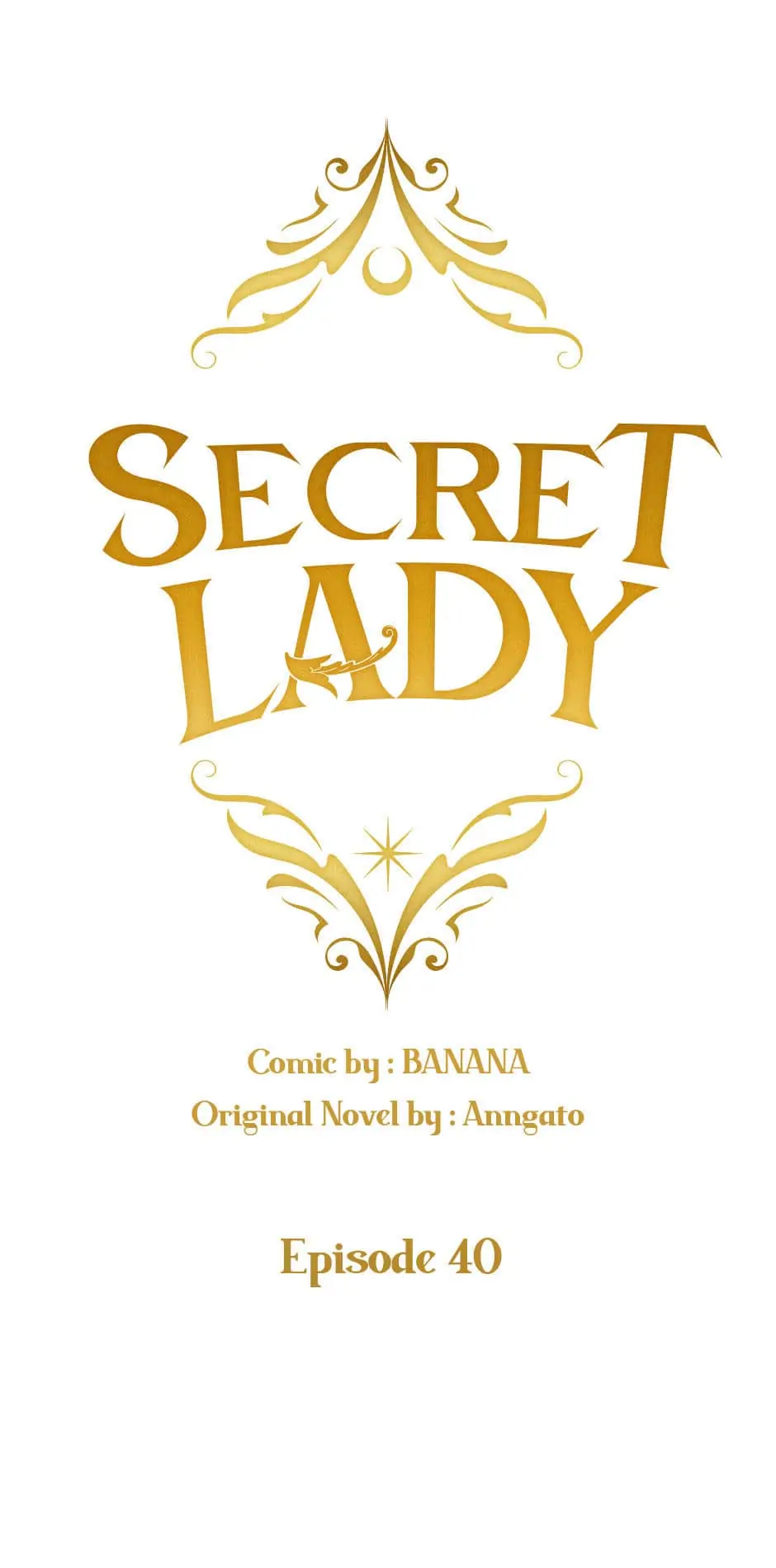 Secret Lady Chapter 40 page 0