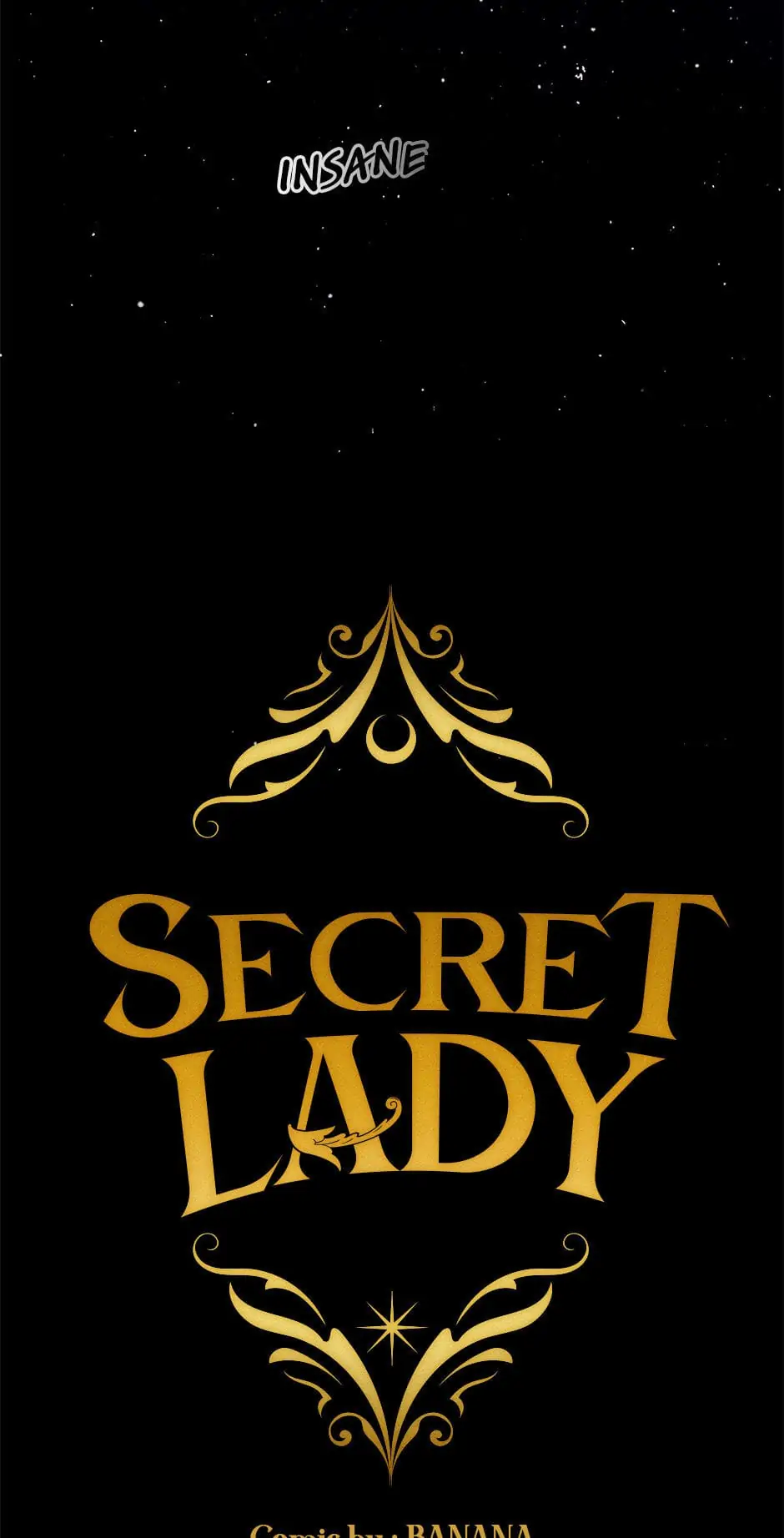 Secret Lady Chapter 43 page 13