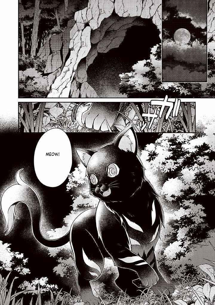Sekai Saikyou no Shinjuu Tsukai Chapter 7 page 29