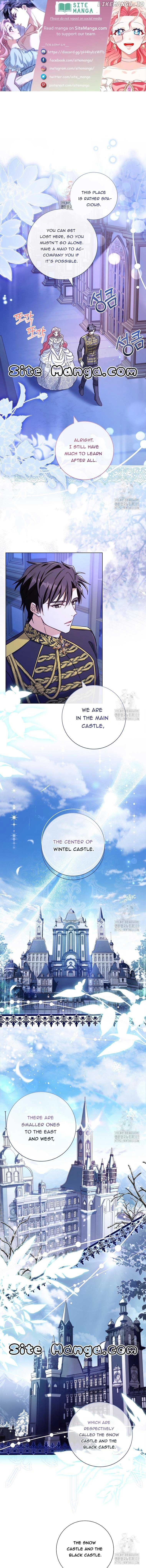 Since My Time is Limited, I’m Entering A Contract Marriage Chapter 23 page 0