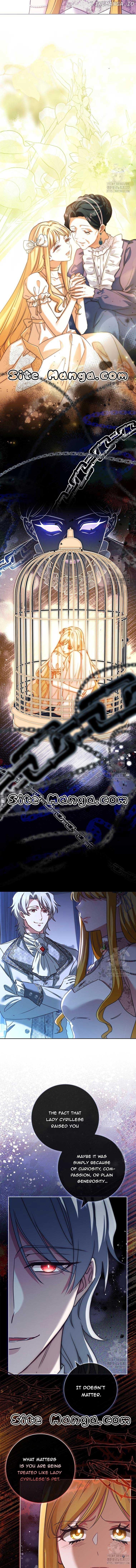 Since My Time is Limited, I’m Entering A Contract Marriage Chapter 23 page 10