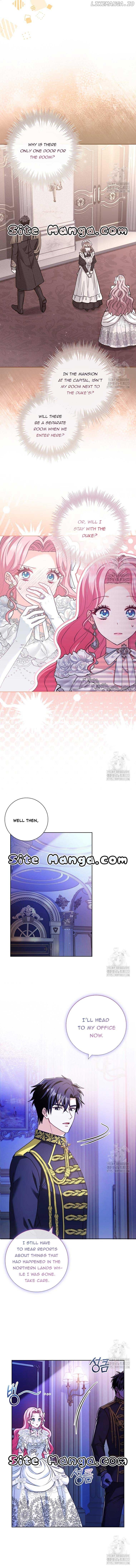 Since My Time is Limited, I’m Entering A Contract Marriage Chapter 23 page 3