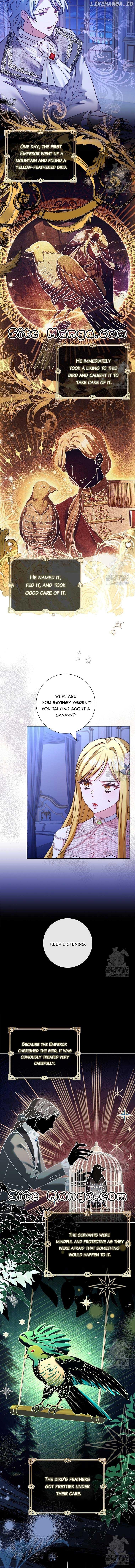 Since My Time is Limited, I’m Entering A Contract Marriage Chapter 23 page 7