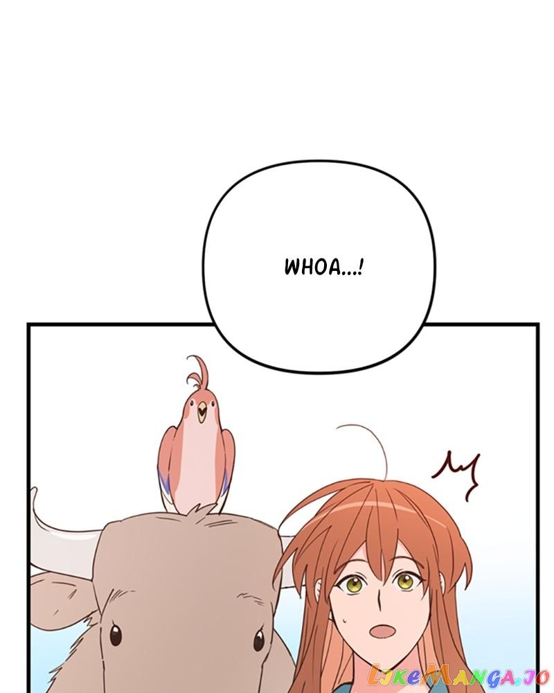 Single Wizard’s Dormitory Apartment Chapter 24 page 5
