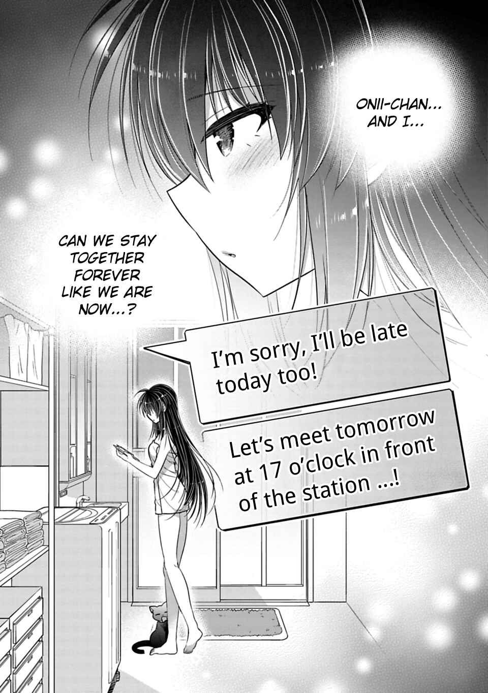 Siscon Ani to Brocon Imouto ga Shoujiki ni Nattara Chapter 30 page 5