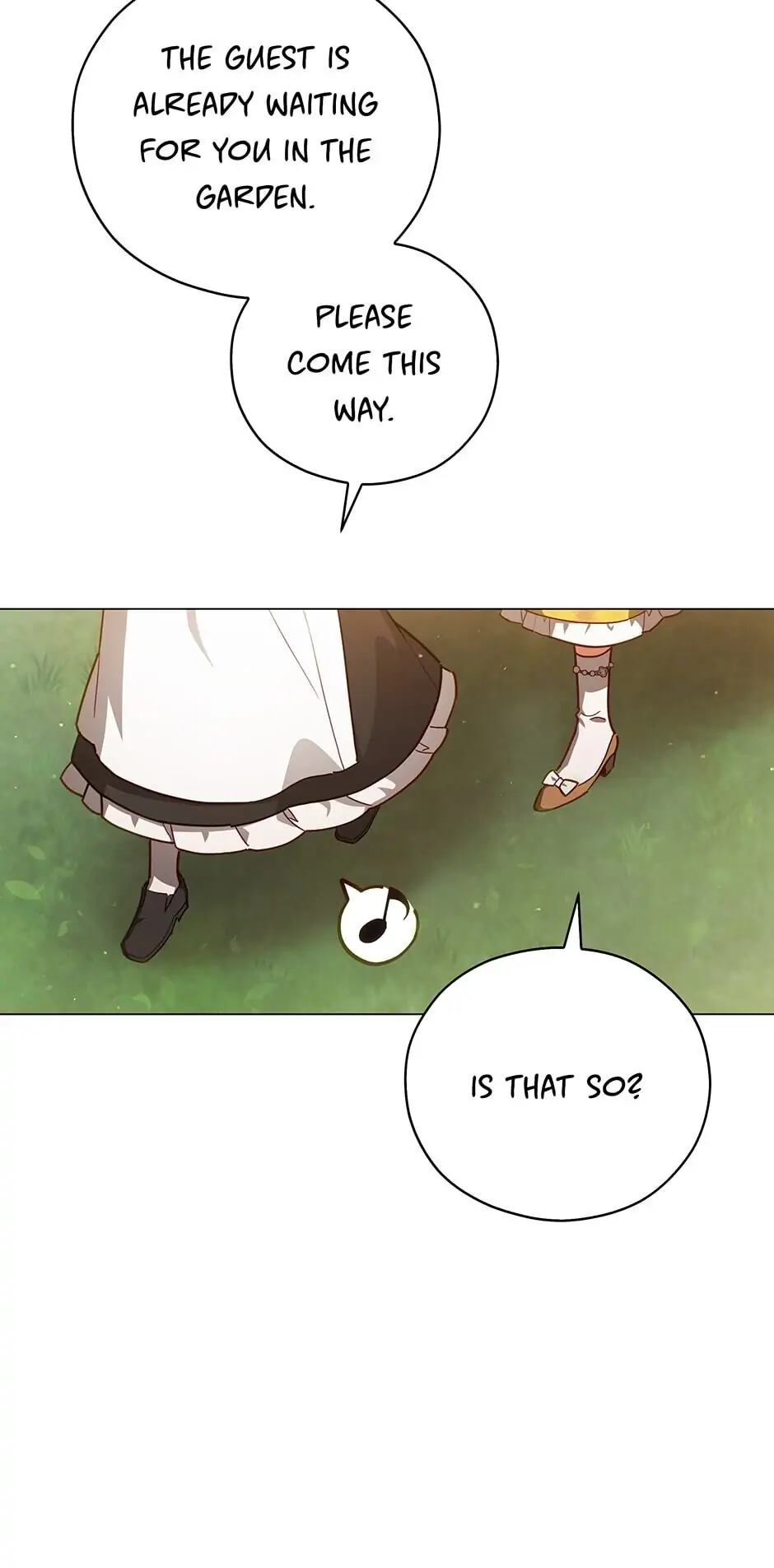 Solitary Lady Chapter 41 page 5