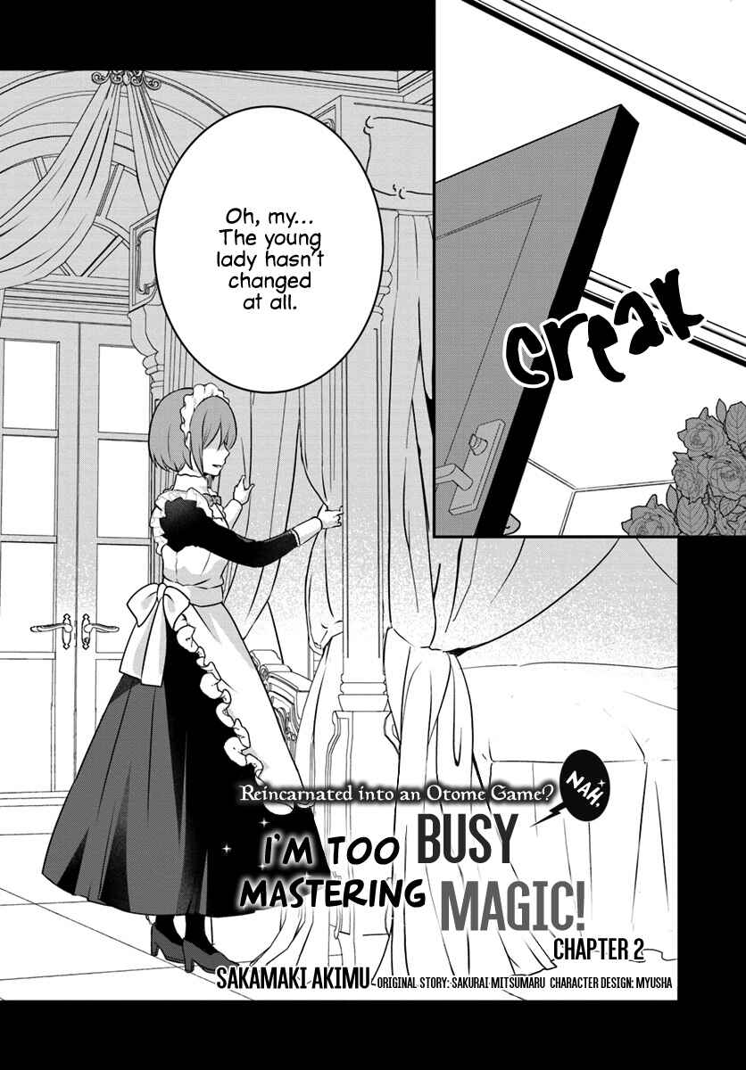 Tensei shitara Otome Game no Sekai? Ie, Majutsu wo Kiwameru no ni Isogashii no de sou iu no wa Kekkou desu Chapter 2.1 page 3