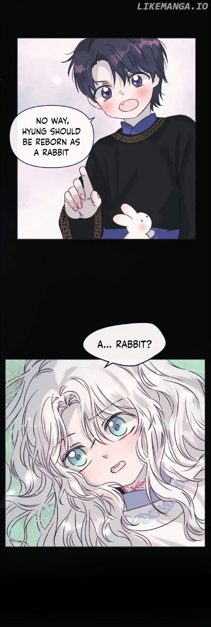 The Baby Dragon and the Rabbit Spirit Chapter 29 page 1