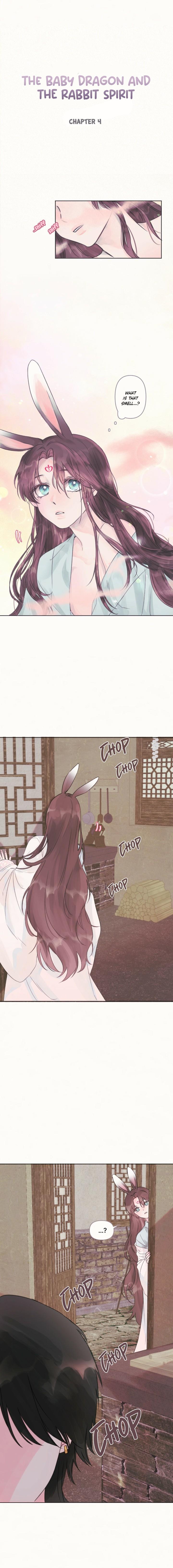 The Baby Dragon and the Rabbit Spirit Chapter 4 page 2
