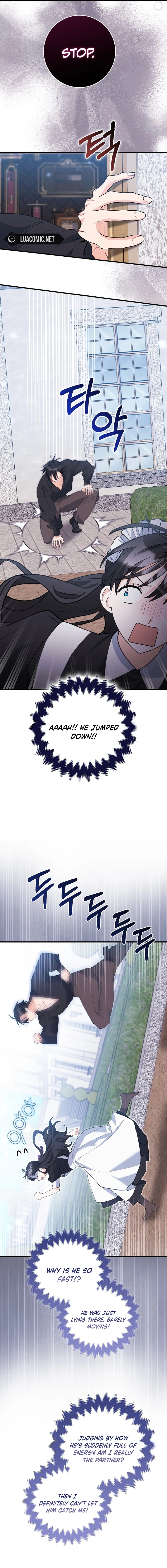 The Crazy Killer Whale’s Favourite Penguin Chapter 39 page 5