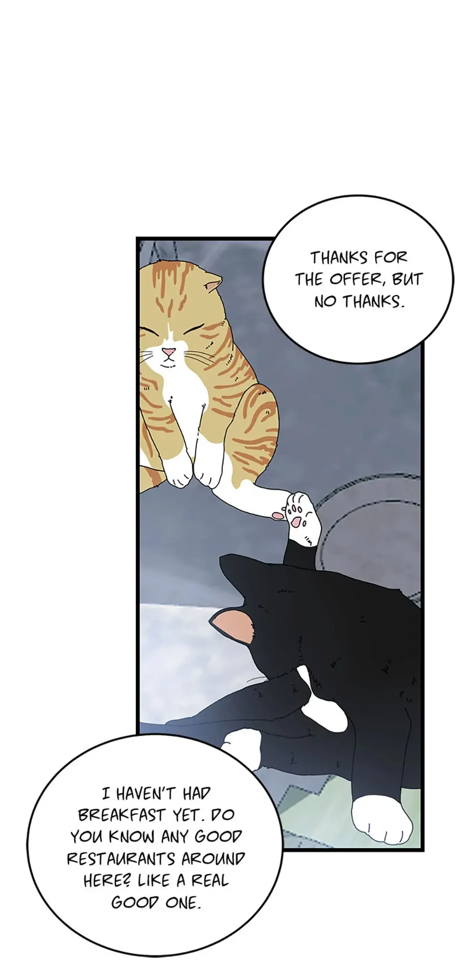 The Dignity Of Romance Chapter 12 page 13