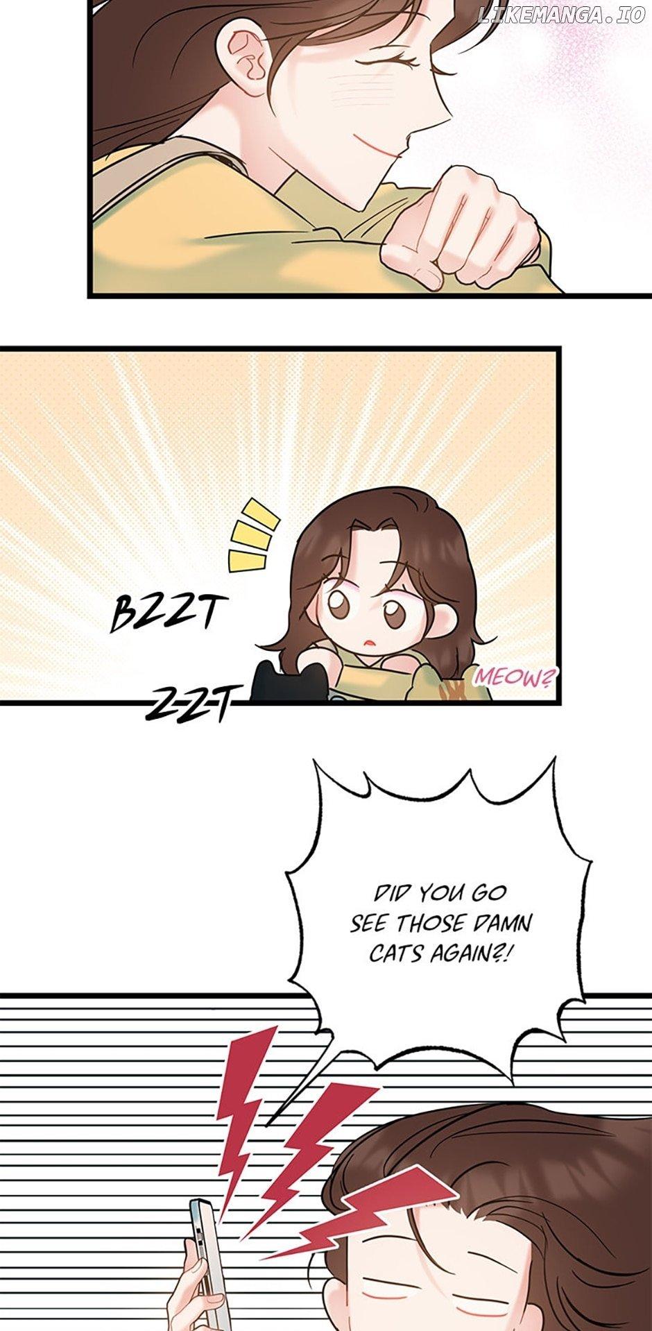 The Dignity Of Romance Chapter 65 page 42