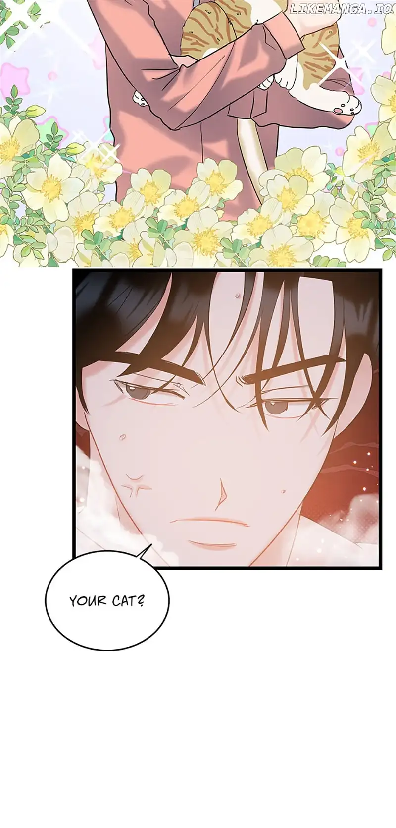The Dignity Of Romance Chapter 71 page 18