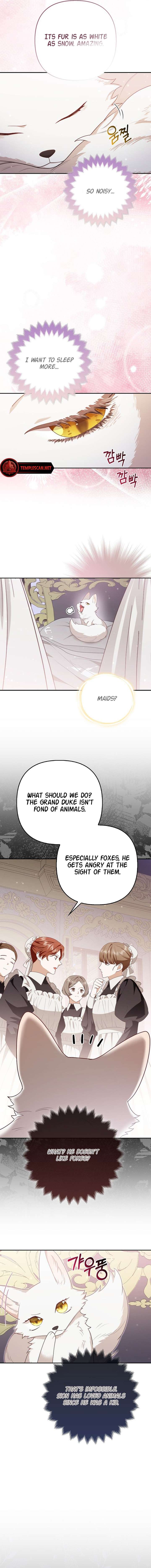 The Duke and The Fox Princess Chapter 4 page 2