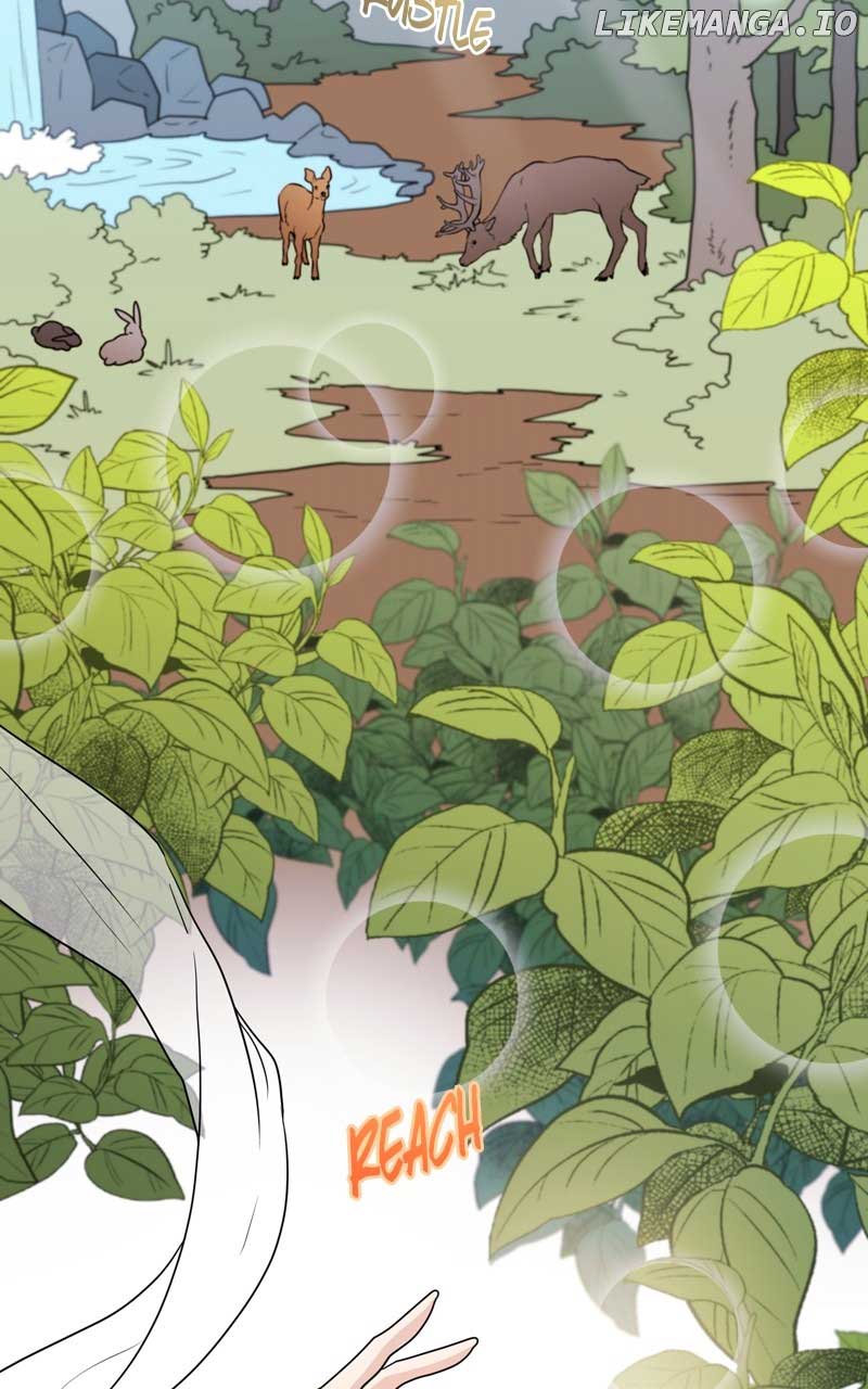 The Goddess’s Guide to Farming Chapter 49 page 1